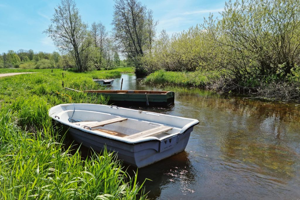 Mastering Loan Applications in Estonia: A Comprehensive Guide to Luminor Bank, Swedbank, and More - Como solicitar empréstimo na Estônia