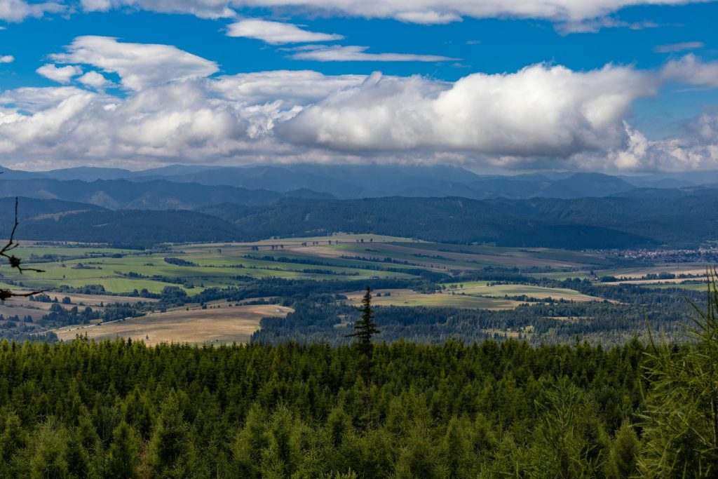 Understanding the Loan Landscape: Comparing VUB Banka, Tatra Banka, and ČSOB Banka - Como solicitar empréstimo na Eslováquia