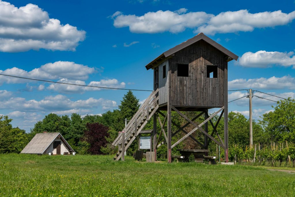 Navigating the Croatian Loan Landscape: Insights from Erste & Steiermärkische Bank to Raiffeisenbank Hrvatska - Como solicitar empréstimo na Croácia