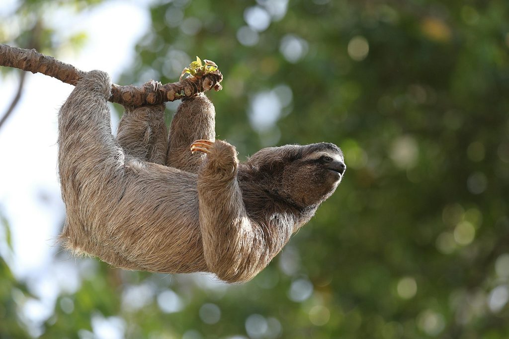 The Rise of Credit Card Options in Costa Rica: A Deep Dive into MasterCard, Visa, and Beyond - Cartões de credito da Costa Rica