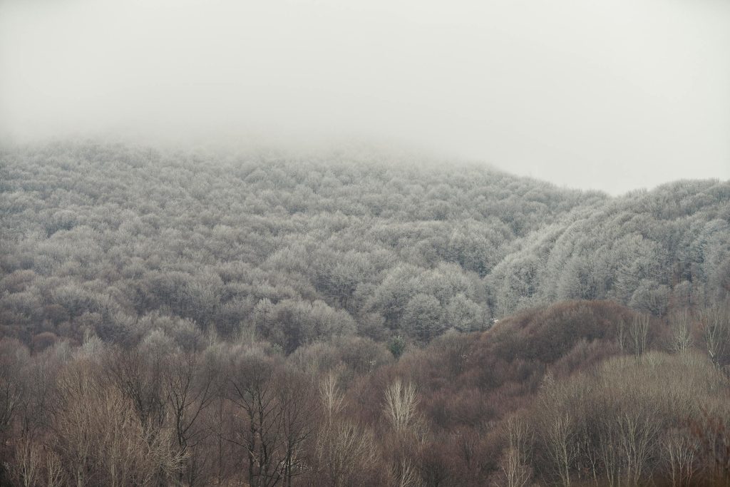 Navigating the Bulgarian Loan Landscape: A Comprehensive Guide to Top Financial Institutions and Their Offerings - Melhores opções de empréstimo na Bulgária