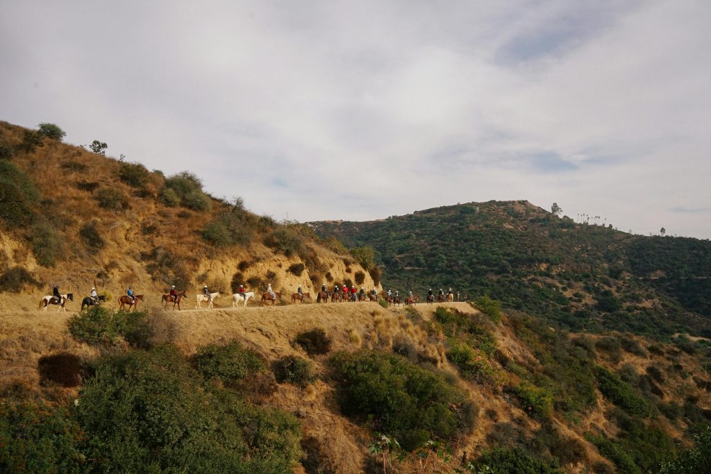 Navigating Slovenias Lending Landscape: Exploring Innovative Solutions from Porsche Finance Group and Leading Credit Providers - Melhores opções de empréstimo na Eslovênia