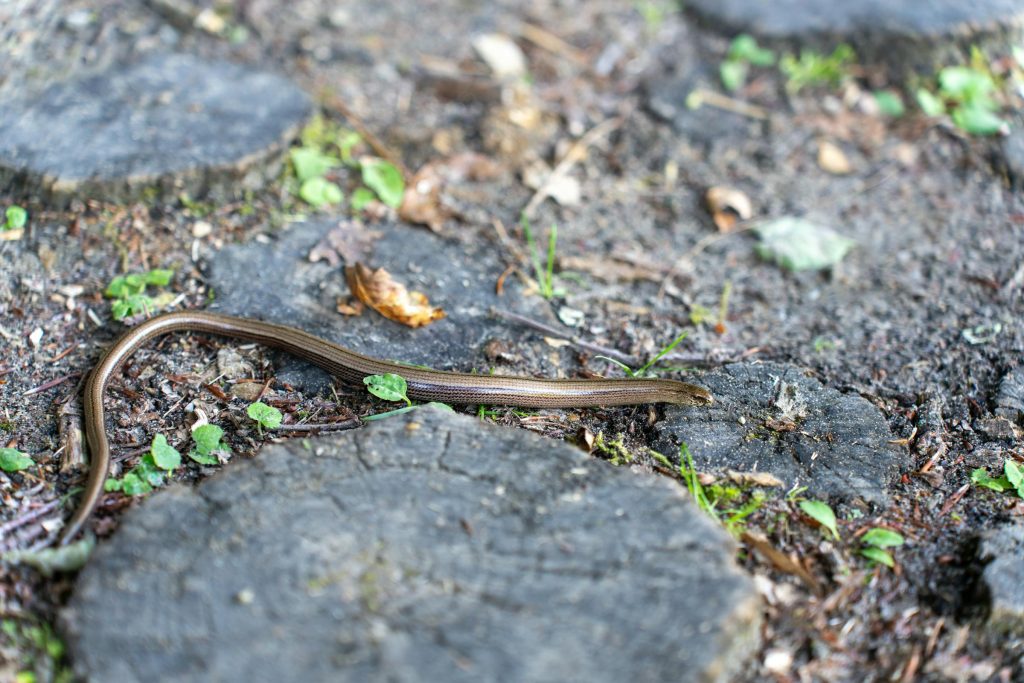 Unlocking Quick Loans in Croatia: A Comprehensive Guide to Zagrebačka Banka and Beyond - Como solicitar empréstimo rápido na Croácia