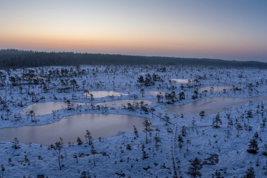 Understanding the Loan Landscape in Estonia: Insights on SEB Pank, LHV Pank, and Alternative Lenders - Como solicitar empréstimo na Estônia