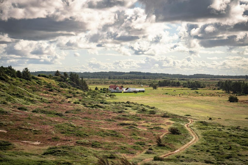 Navigating the Danish Loan Landscape: Comparing Jyske Bank, Nordea Denmark, and Other Top Lenders - Melhores formas de solicitar empréstimo na Dinamarca